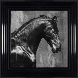Black Stallion - Tu Lulus